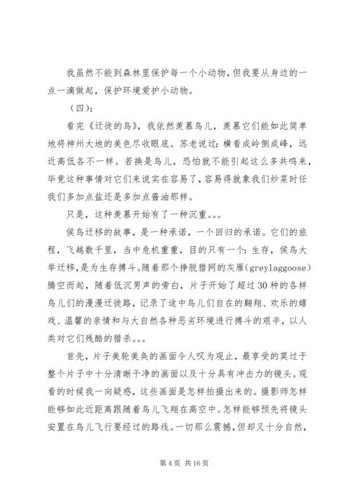 迁徙的鸟观后感.docx