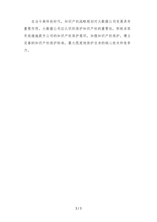 大数据公司知识产权战略规划.docx