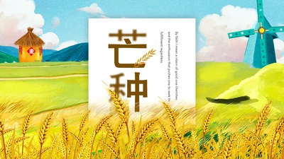 麦田粮食丰收芒种节气通用PPT模板