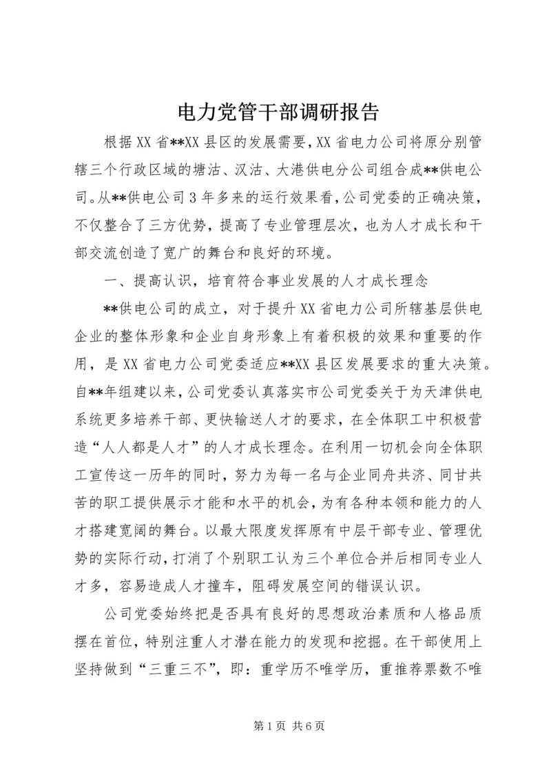 电力党管干部调研报告.docx