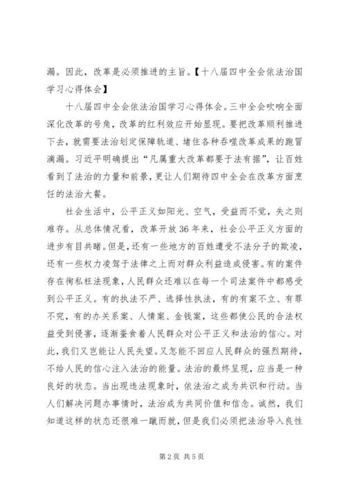 学习十八届四中全会依法治国心得体会三篇 (5).docx