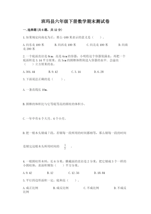 班玛县六年级下册数学期末测试卷（满分必刷）.docx