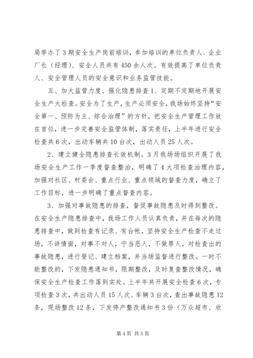 林场上半年安全生产工作总结及下半年工作计划.docx