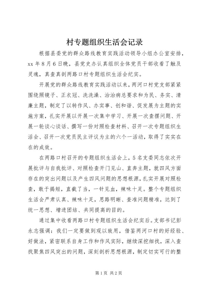 村专题组织生活会记录.docx