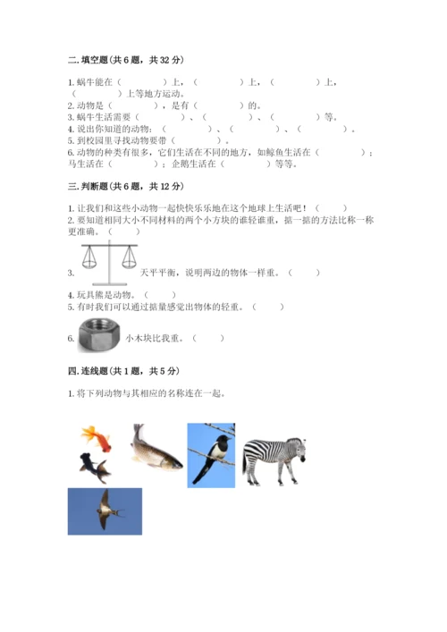 教科版一年级下册科学期末测试卷【重点】.docx
