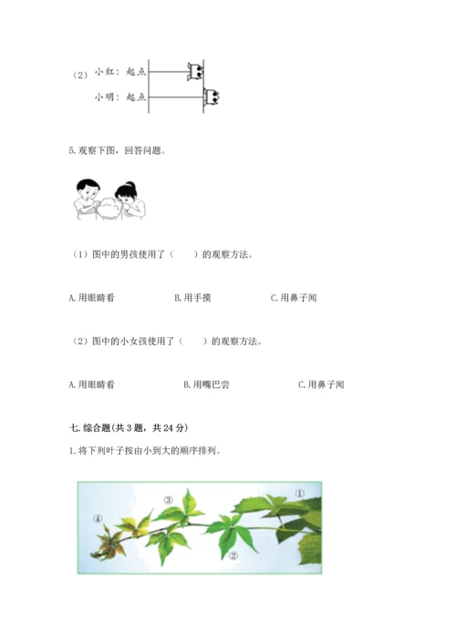 教科版小学一年级上册科学期末测试卷带答案（夺分金卷）.docx