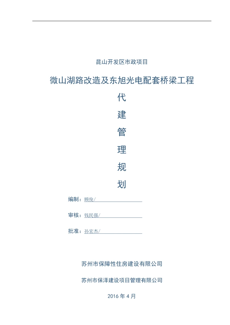 道路桥梁配套工程代建管理规划93页.docx