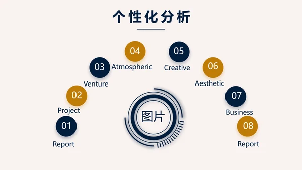 高端稳重大气商业计划书商务PPT动态
