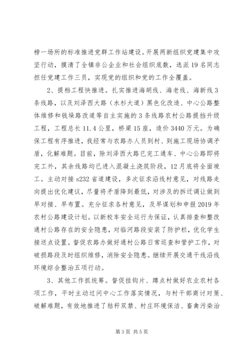 乡镇组织委员某年个人总结与述职报告.docx