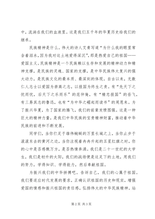 关于民族精神的演讲稿 (3).docx