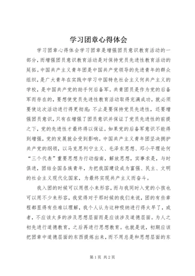 学习团章心得体会.docx