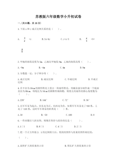 苏教版六年级数学小升初试卷【典优】.docx