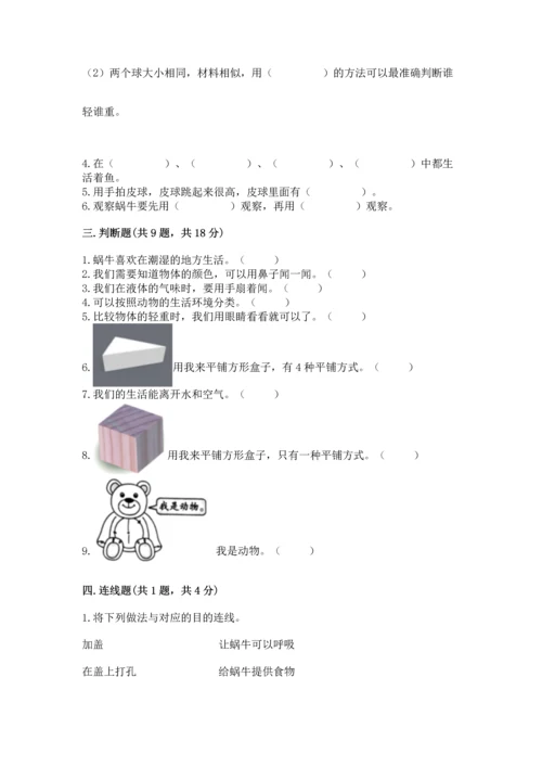 教科版一年级下册科学期末测试卷附完整答案【全优】.docx