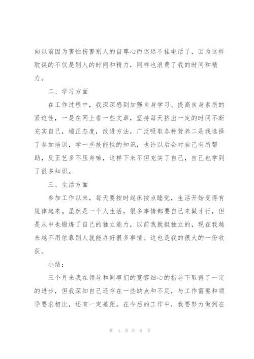 新员工试用期转正个人工作总结.docx