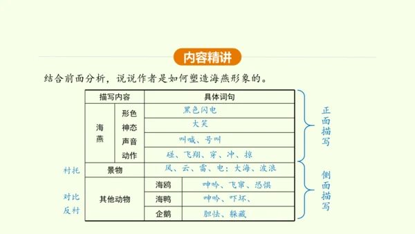 第4课 海燕 课件(共31张PPT)-【课堂无忧】新课标同步核心素养课堂