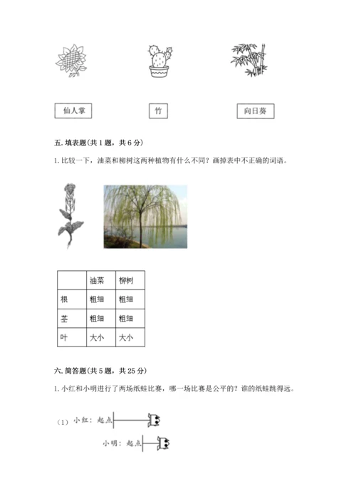 教科版科学一年级上册期末测试卷精品（全国通用）.docx