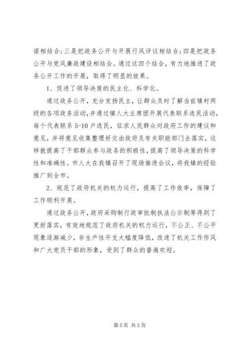 乡镇政务公开工作总结范文.docx