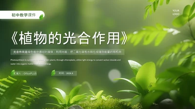 绿色清新风植物的光合作用PPT模板