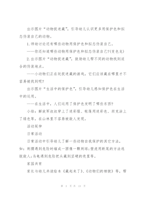 捉迷藏幼儿教案范文.docx