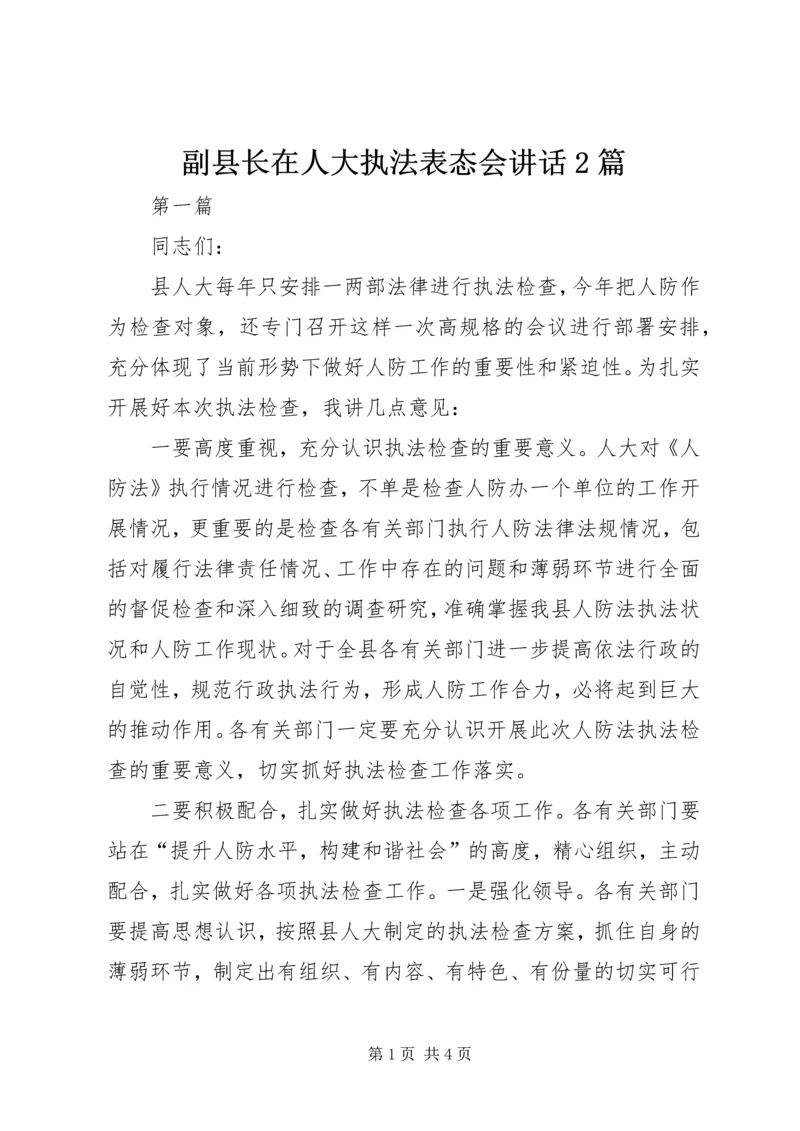 副县长在人大执法表态会讲话2篇.docx