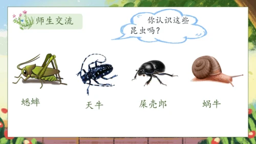 【核心素养】部编版语文二年级下册-11. 我是一只小虫子 第1课时（课件）