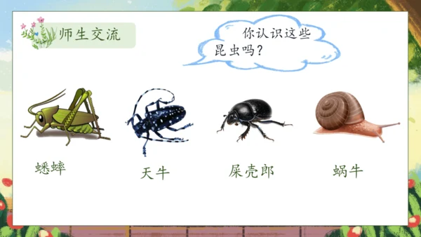 【核心素养】部编版语文二年级下册-11. 我是一只小虫子 第1课时（课件）