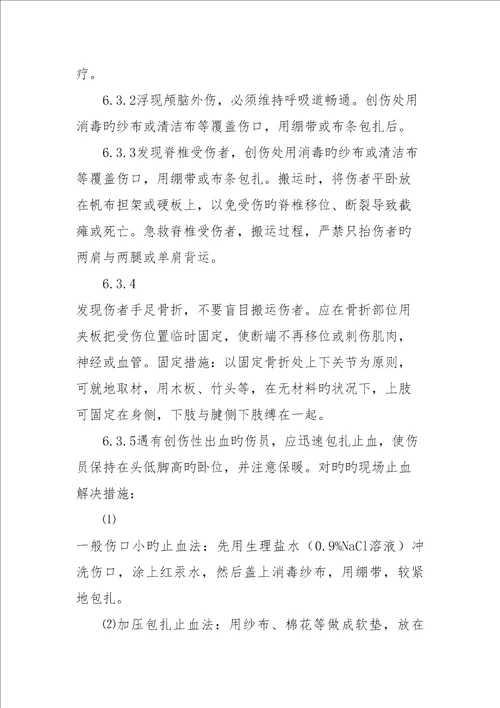 关键工程专项项目部专项应急全新预案