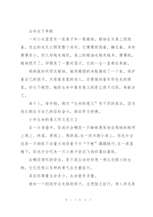 小学生命的意义作文范文7篇.docx