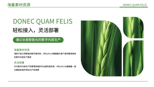 绿色简约风现代农业发展PPT