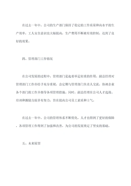 副总经理分管工作报告