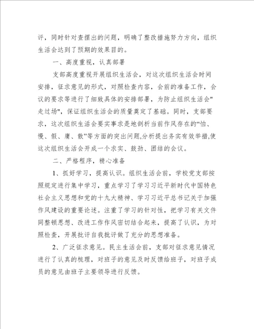 党支部组织生活会工作总结