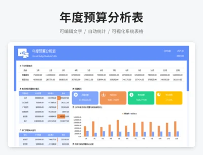 年度预算分析表