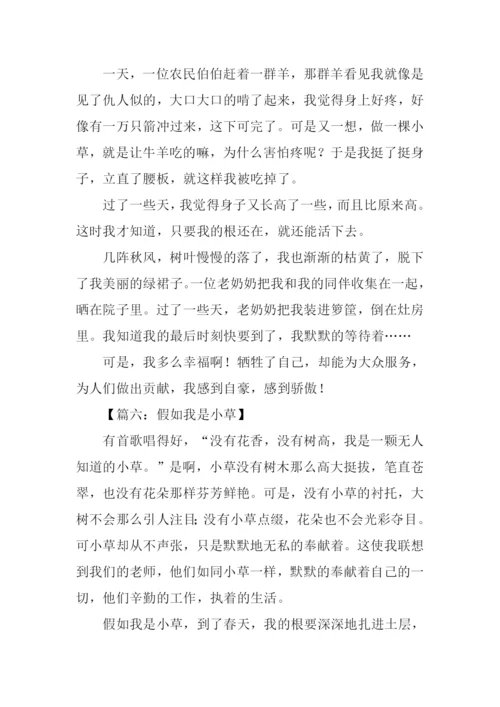 假如我是小草作文.docx