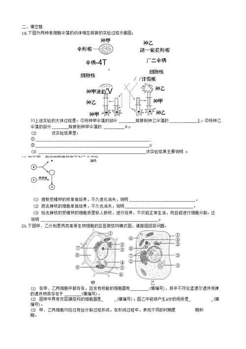 高中生物 细胞的类型和结构测试题15 苏教版必修1