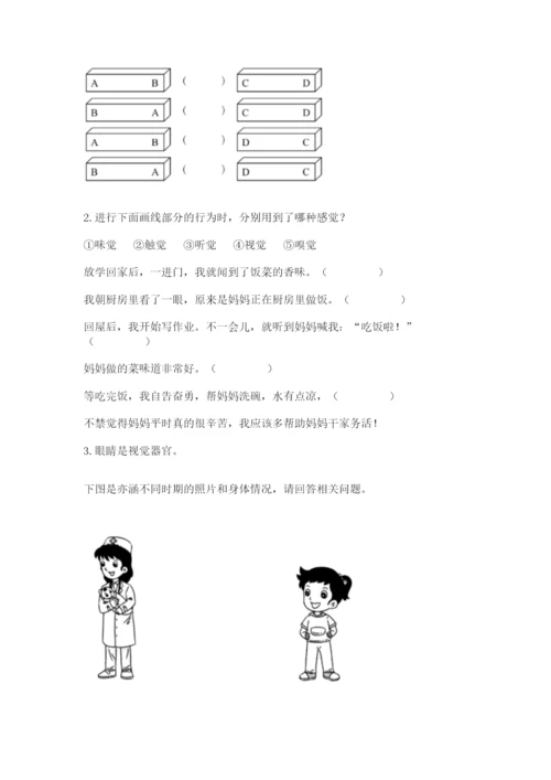 教科版小学科学二年级下册期末测试卷及参考答案（基础题）.docx