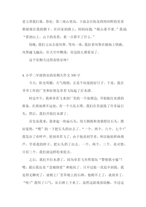 小学二年级快乐的星期天作文300字.docx