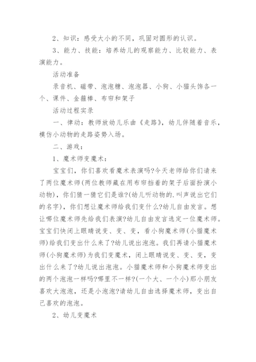 中班科学探究教案.docx