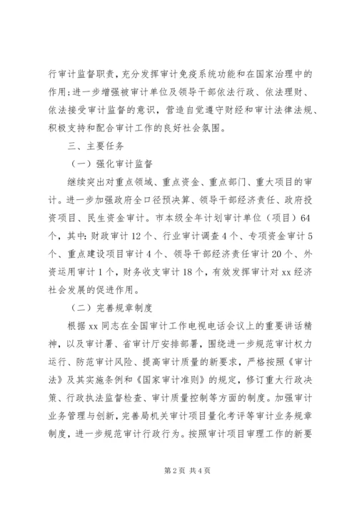 市审计机关依法行政工作计划范文.docx