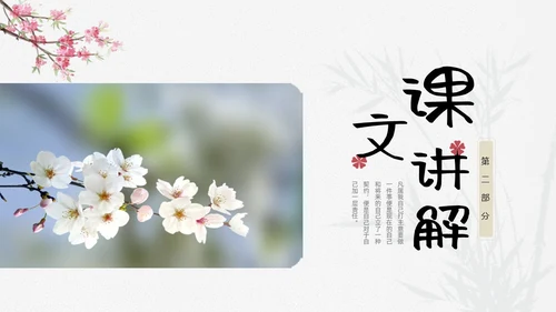 浅色小清新最苦与最乐初中语文七年级下册PPT说课课件初中语初中语文七年级下册课件