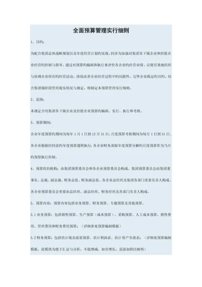 全面预算管理实施细则.docx