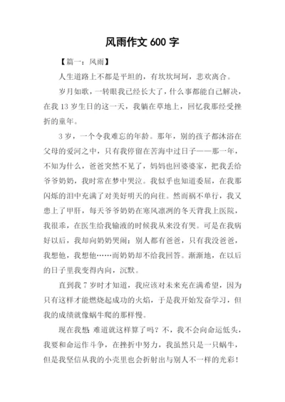 风雨作文600字0.docx
