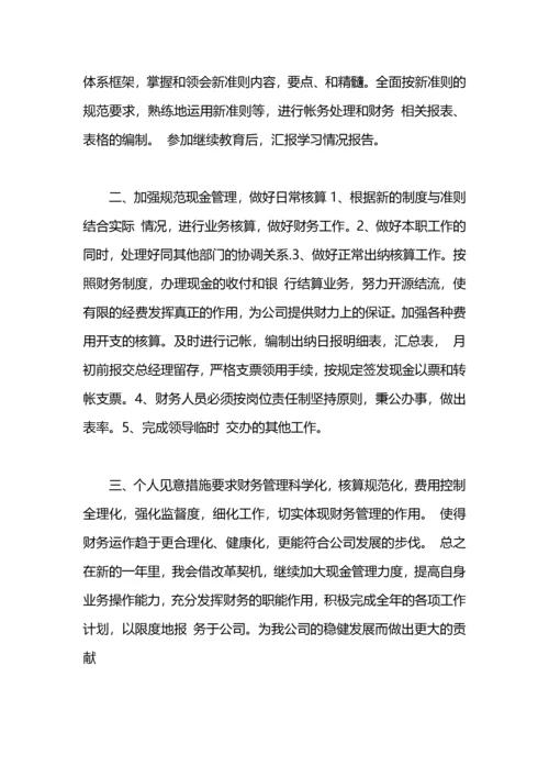 出纳工作计划怎么写范文.docx