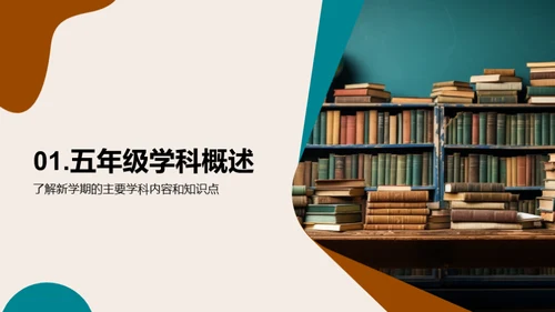 五年级学习全攻略