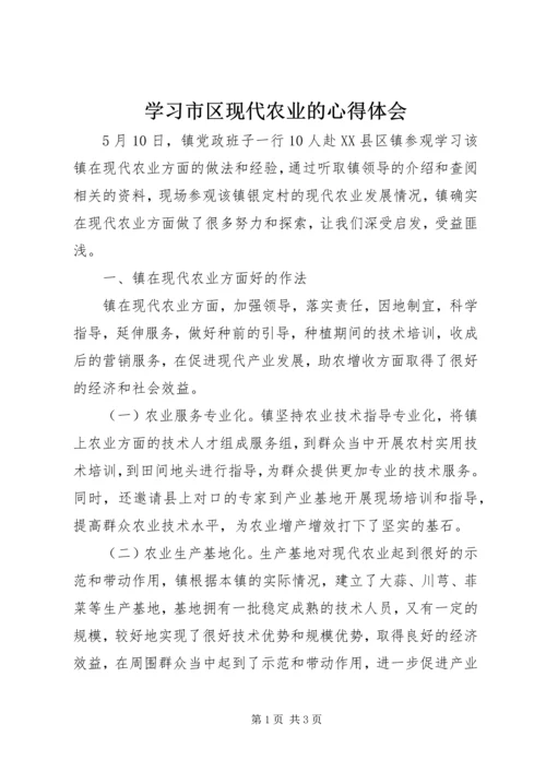 学习市区现代农业的心得体会.docx