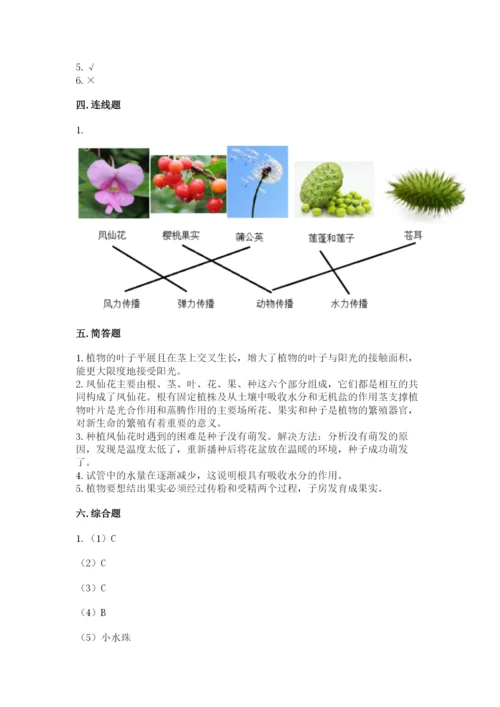 教科版四年级下册科学第一单元《植物的生长变化》测试卷【轻巧夺冠】.docx