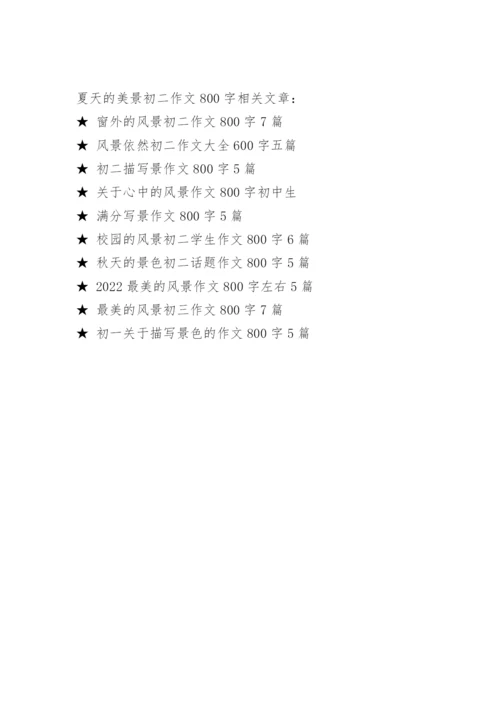 夏天的美景初二优秀作文800字.docx