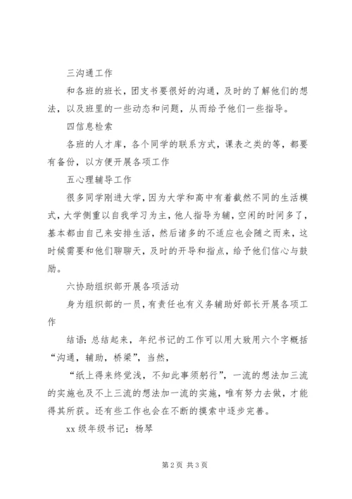 年纪书记的工作计划例文.docx