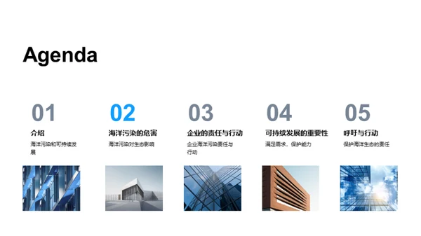 海洋污染与生态保护