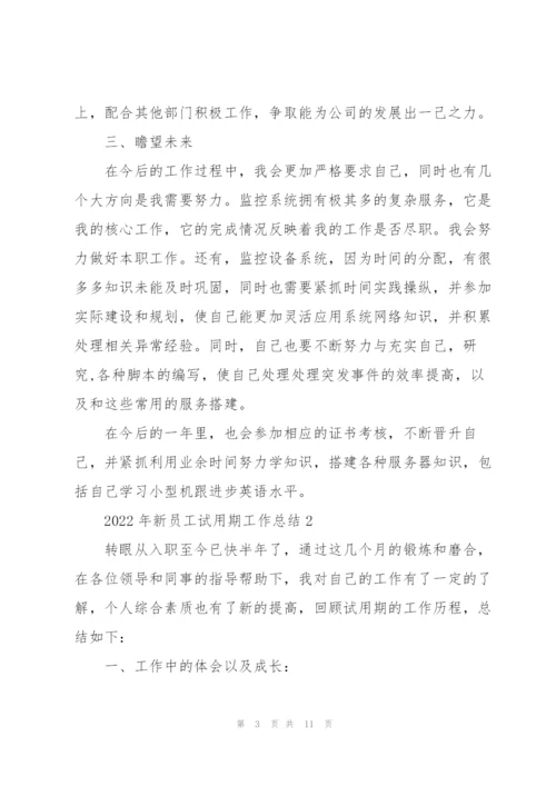 2022年新员工试用期工作总结5篇.docx