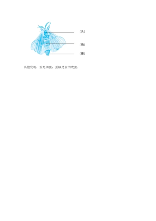 教科版小学科学三年级下册期末测试卷带答案（满分必刷）.docx